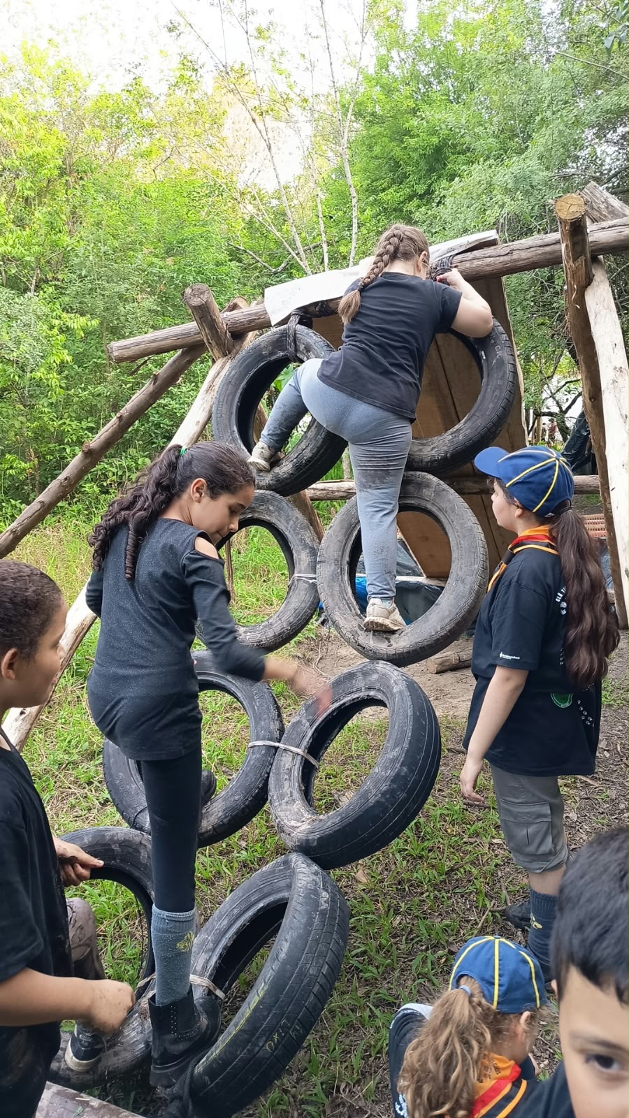 Lobinhos atravessando obstáculos de pneus na mata