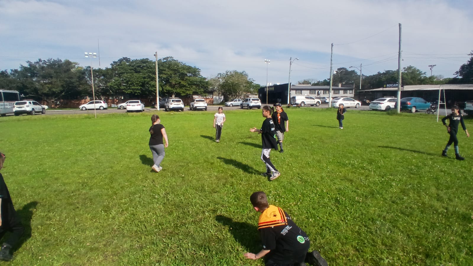 Lobinhos em atividade no campo